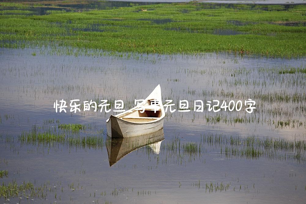 快乐的元旦_写事元旦日记400字