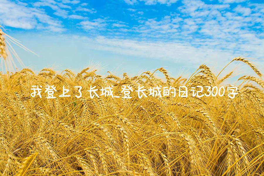 我登上了长城_登长城的日记300字