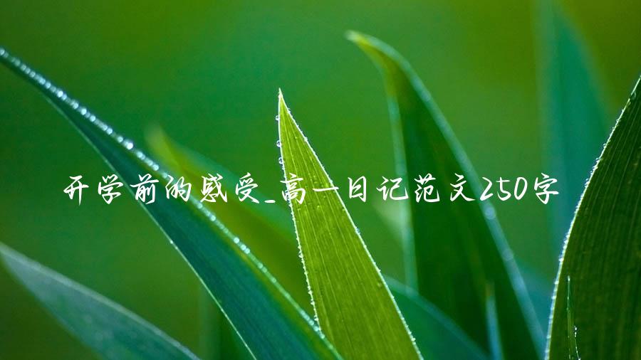 开学前的感受_高一日记范文250字