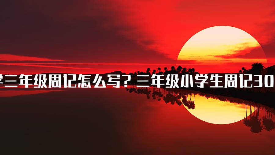 小学三年级周记怎么写？三年级小学生周记300字