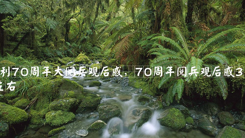 抗战胜利70周年大阅兵观后感，70周年阅兵观后感300字左右