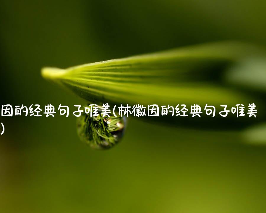 林徽因的经典句子唯美(林徽因的经典句子唯美励志)