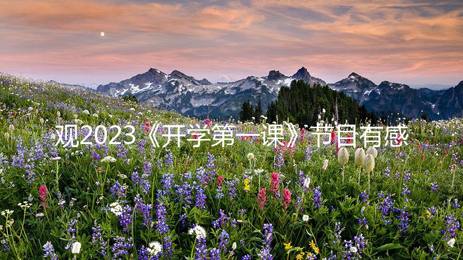 观2023《开学第一课》节目有感