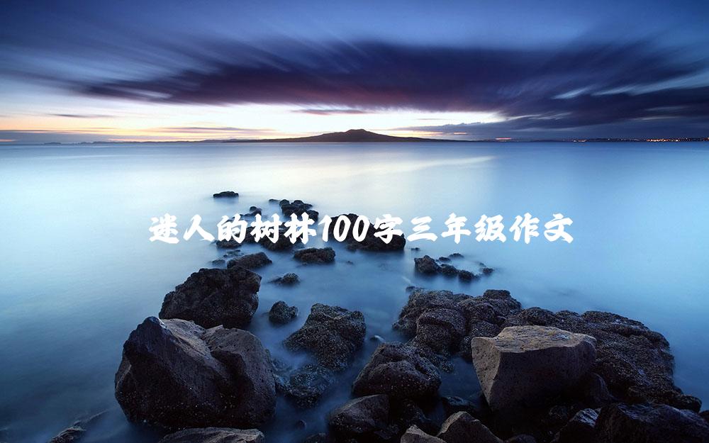 迷人的树林100字三年级作文