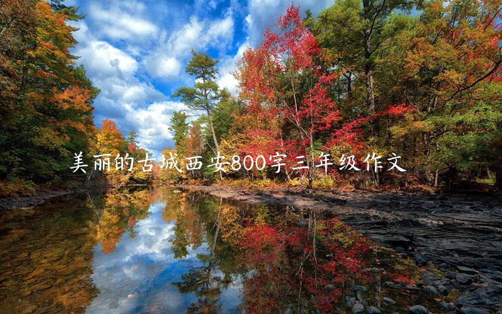 美丽的古城西安800字三年级作文