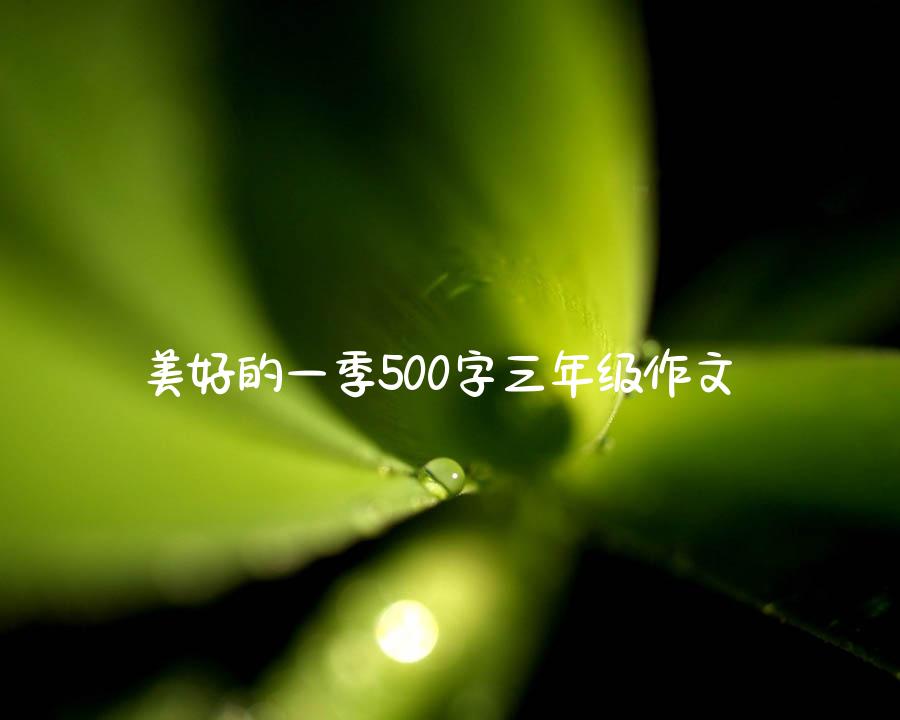 美好的一季500字三年级作文