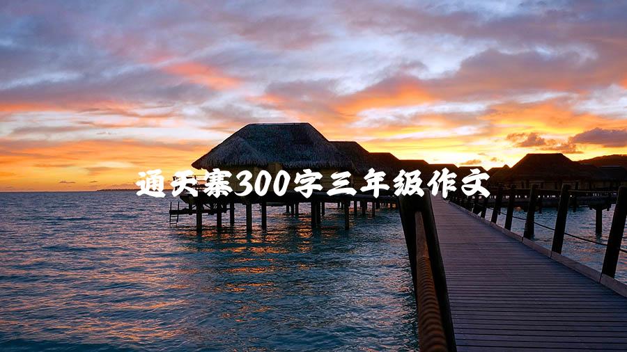 通天寨300字三年级作文