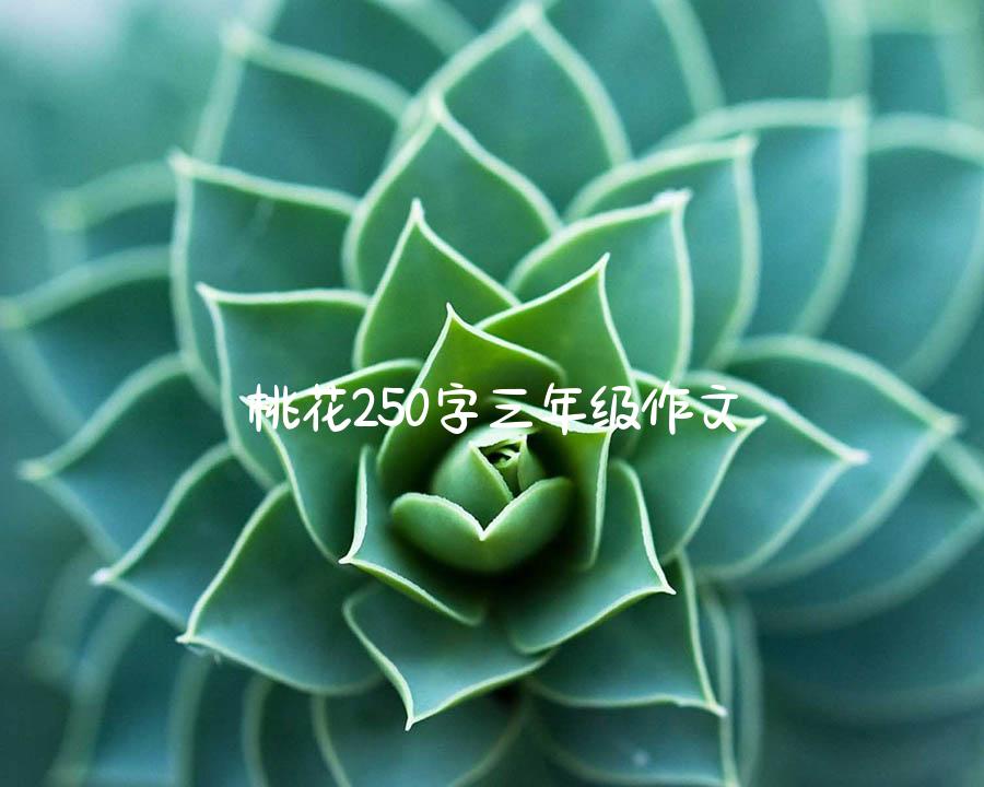 桃花250字三年级作文