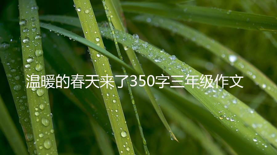 温暖的春天来了350字三年级作文