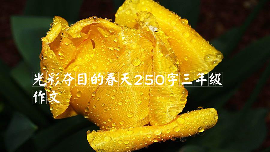 光彩夺目的春天250字三年级作文