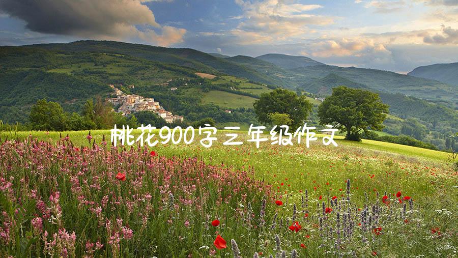 桃花900字三年级作文