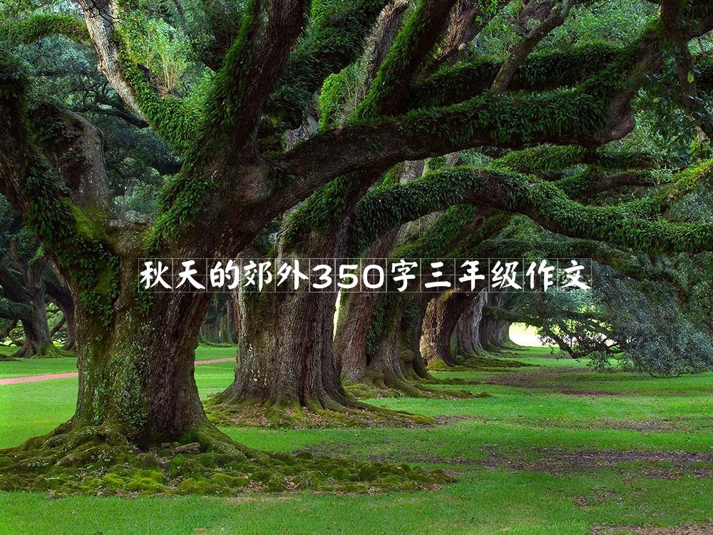 秋天的郊外350字三年级作文