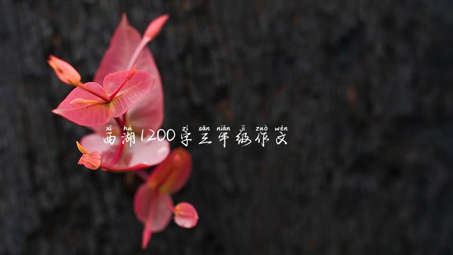 西湖1200字三年级作文