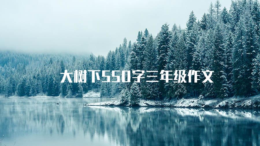 大树下550字三年级作文