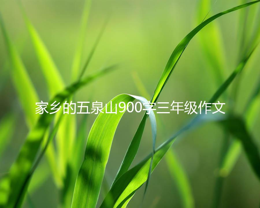 家乡的五泉山900字三年级作文