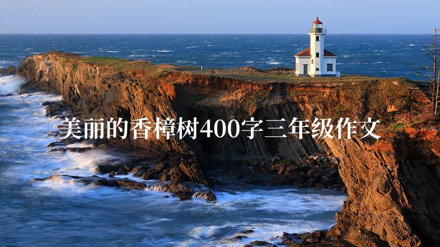 美丽的香樟树400字三年级作文