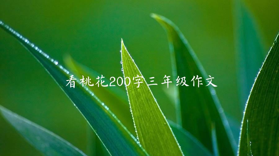 看桃花200字三年级作文