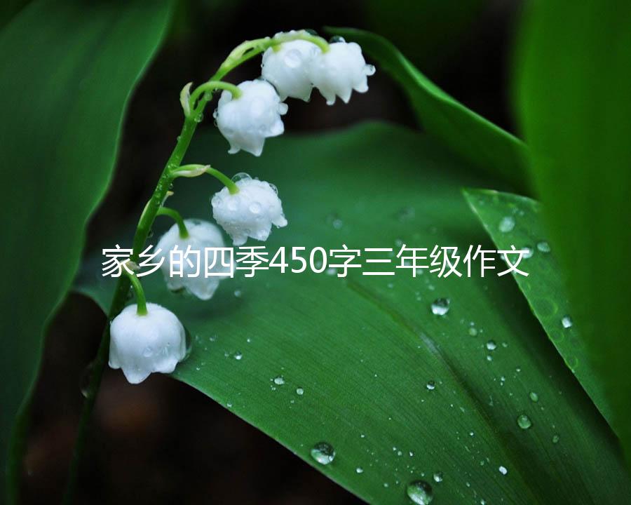 家乡的四季450字三年级作文