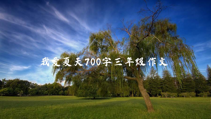 我爱夏天700字三年级作文