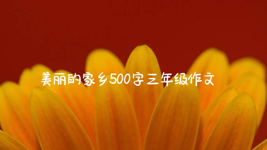 美丽的家乡500字三年级作文