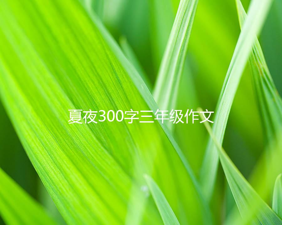 夏夜300字三年级作文