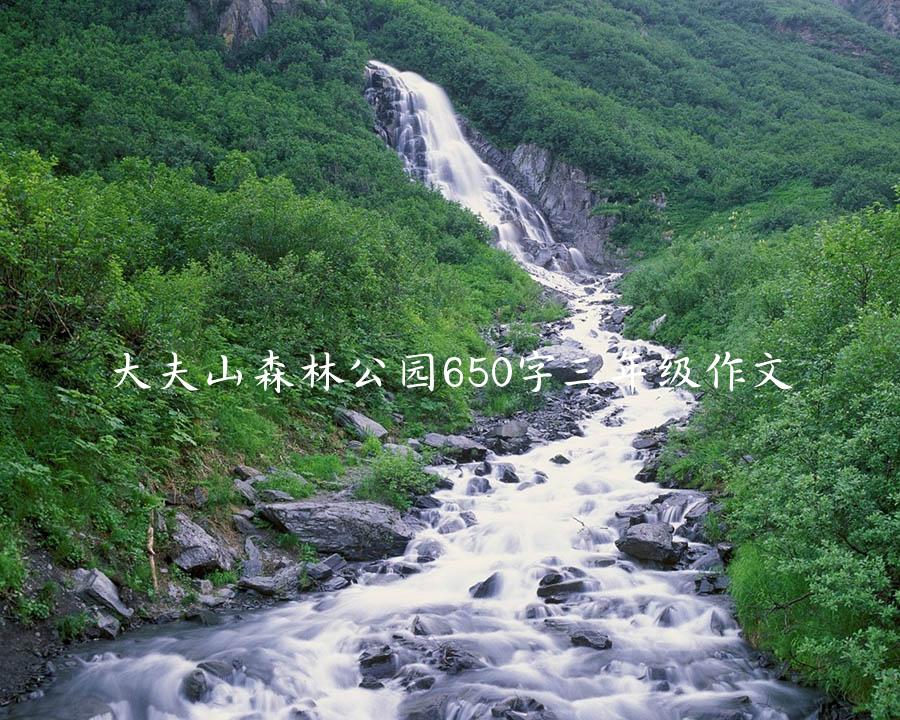 大夫山森林公园650字三年级作文