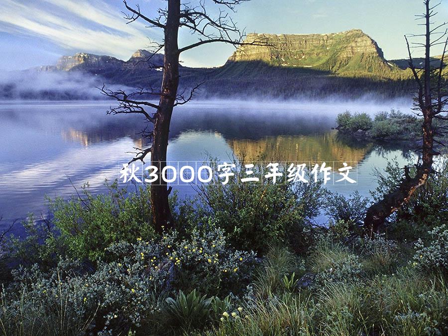 秋3000字三年级作文