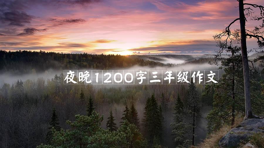 夜晚1200字三年级作文