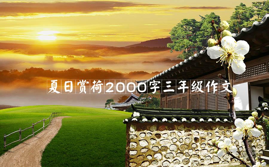 夏日赏荷2000字三年级作文