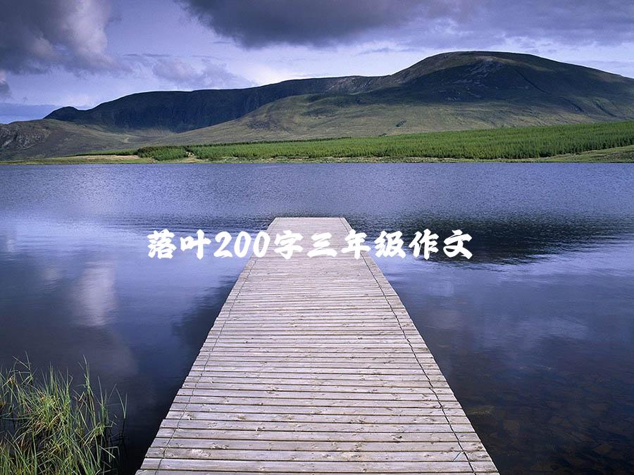 落叶200字三年级作文