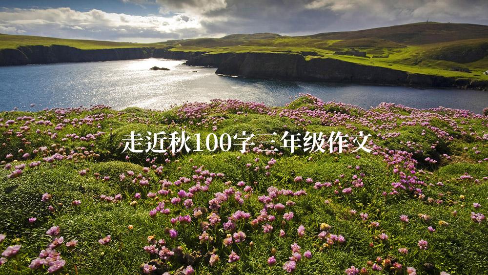 走近秋100字三年级作文