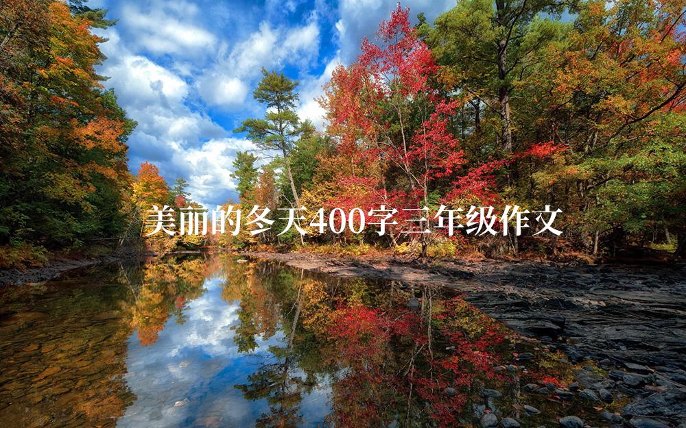 美丽的冬天400字三年级作文