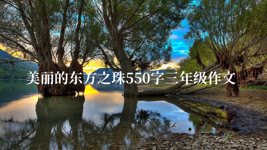 美丽的东方之珠550字三年级作文