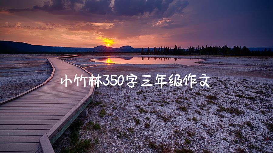 小竹林350字三年级作文