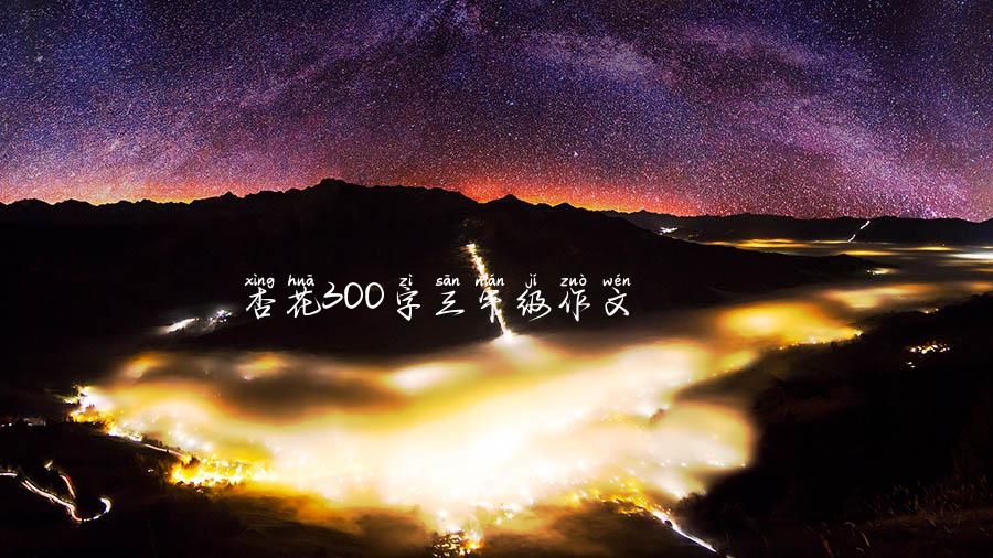 杏花300字三年级作文