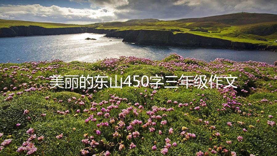 美丽的东山450字三年级作文