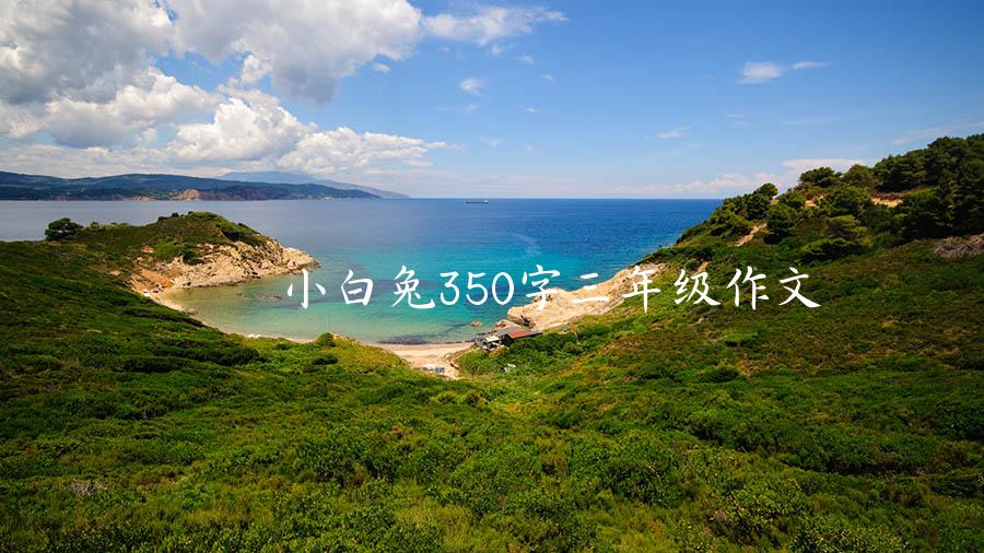 小白兔350字三年级作文