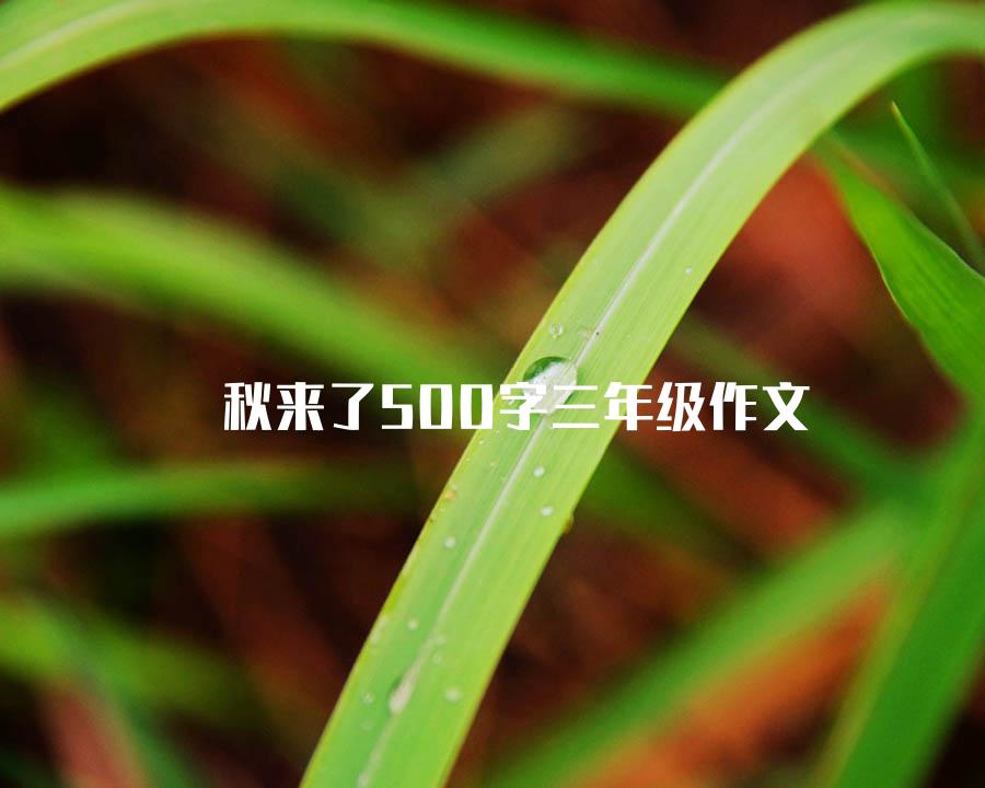 秋来了500字三年级作文