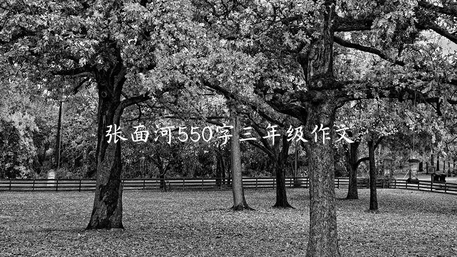 张面河550字三年级作文