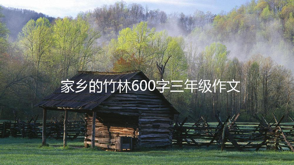 家乡的竹林600字三年级作文