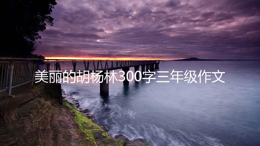 美丽的胡杨林300字三年级作文