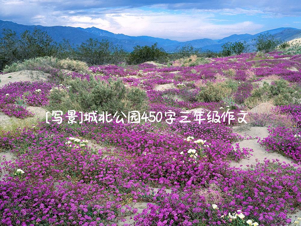 [写景]城北公园450字三年级作文