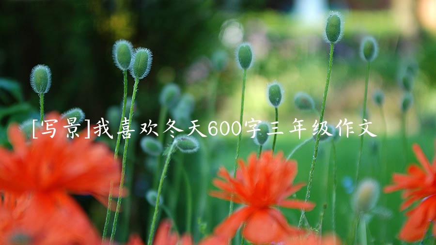 [写景]我喜欢冬天600字三年级作文