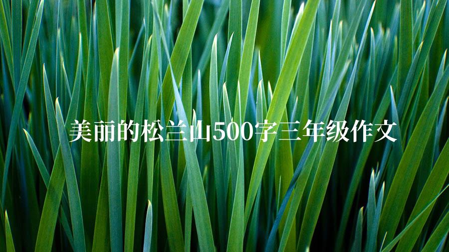 美丽的松兰山500字三年级作文