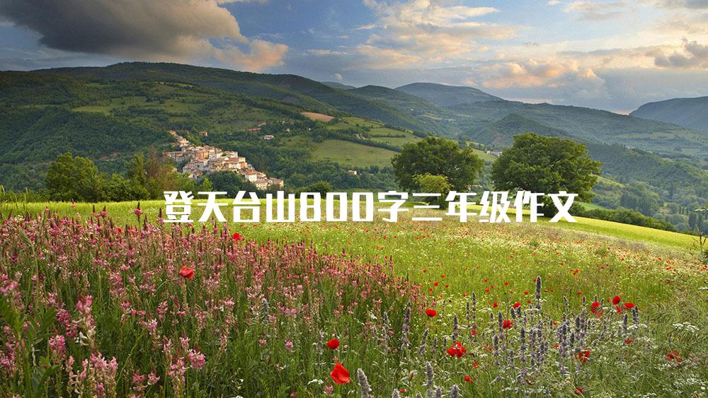 登天台山800字三年级作文