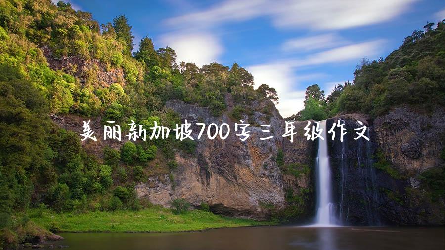 美丽新加坡700字三年级作文