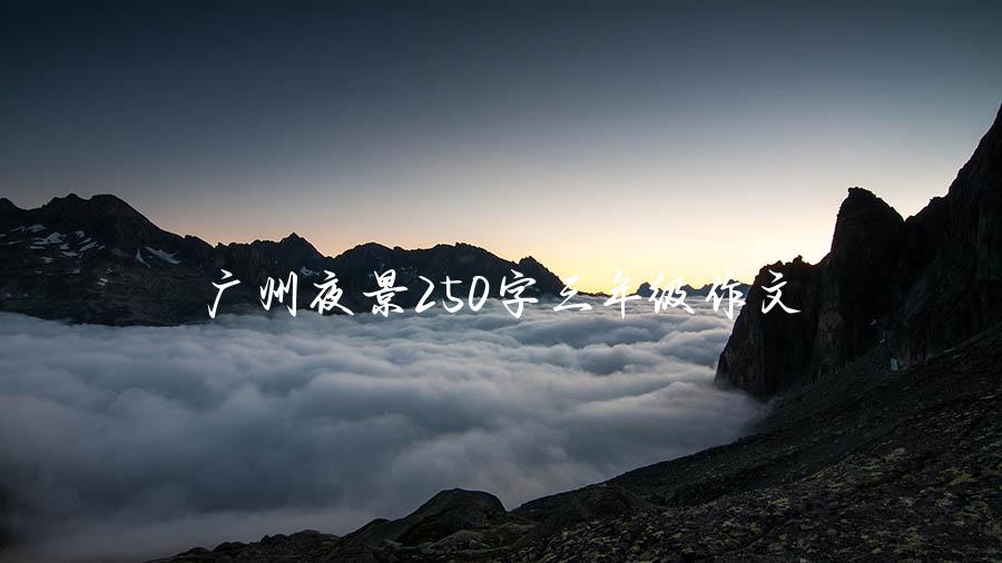 广州夜景250字三年级作文