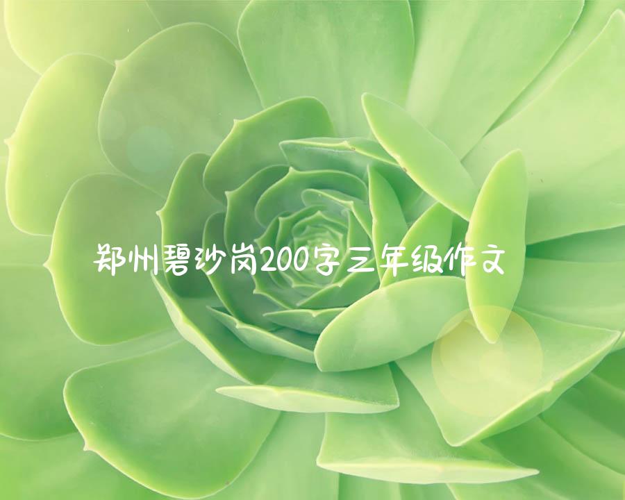 郑州碧沙岗200字三年级作文