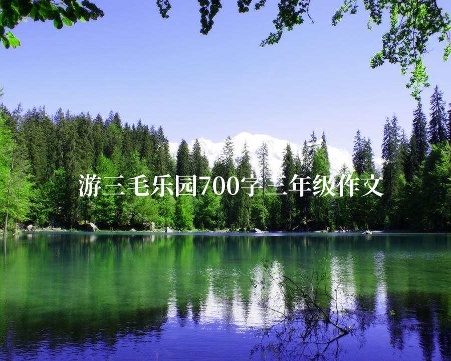 游三毛乐园700字三年级作文