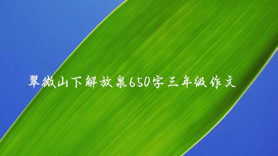 翠微山下解放泉650字三年级作文